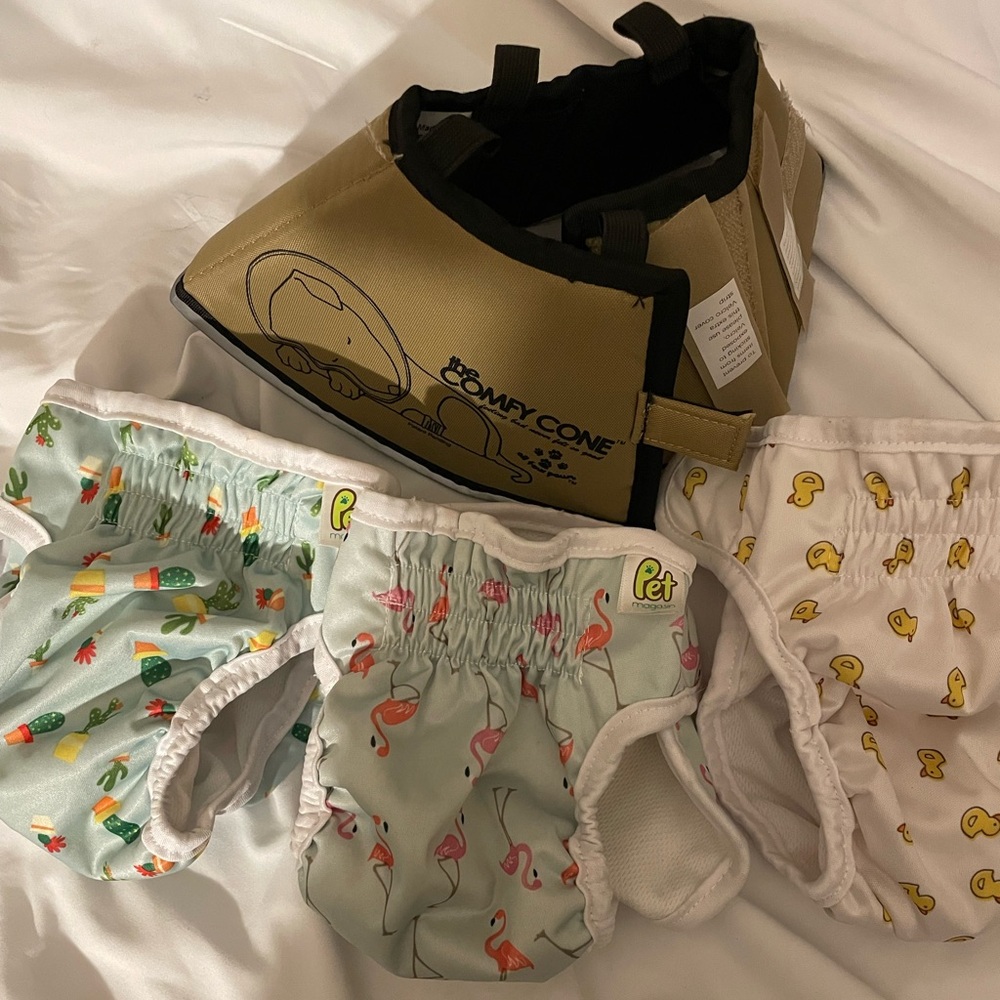 Bundle dog size small pet the comfy cone reusable diapers female magasin